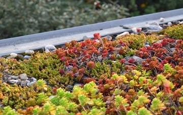 the cost of Sutton Row green roof installation