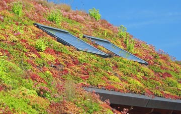 Sutton Row living roof systems