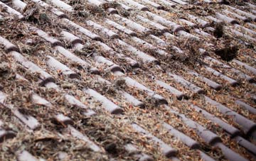 Sutton Row roof cleaning companies