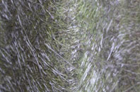 Sutton Row fibreglass roof work